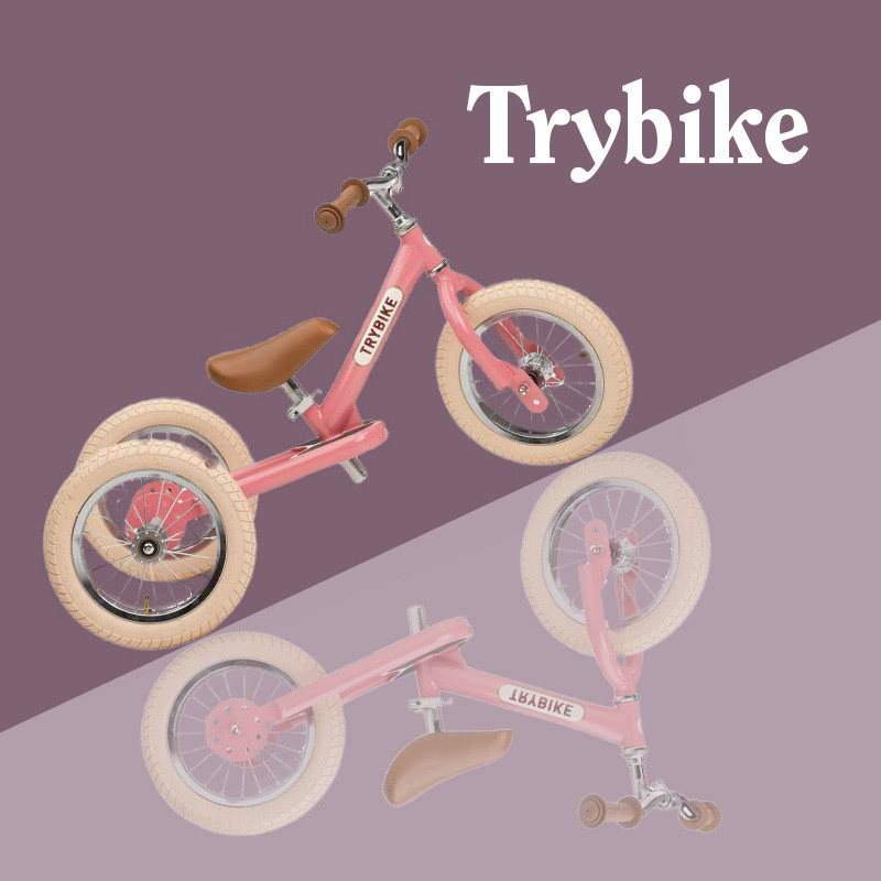 media/image/Trybike23.jpg